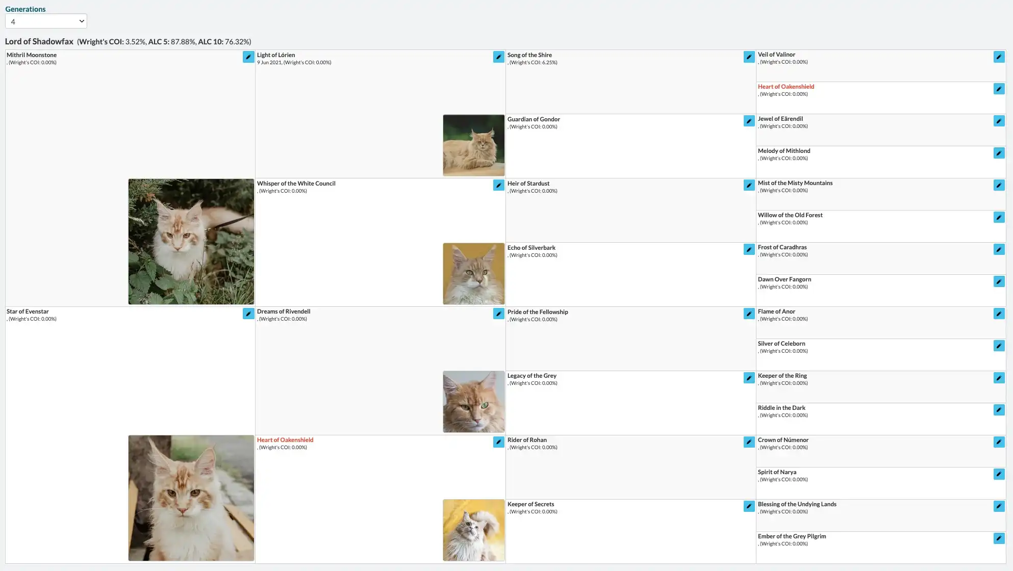 Cat Breeder Pro pedigree view showing a multi-generation pedigree tree with linked ancestors across several generations, each cat displaying their name, breed, and key details.